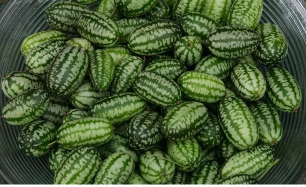 Cucamelon Seeds