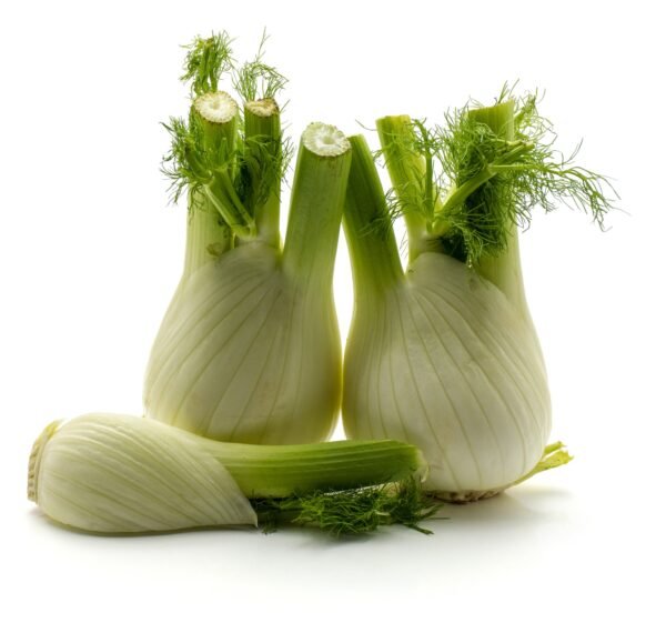 Fennel Sweet Florence Seeds