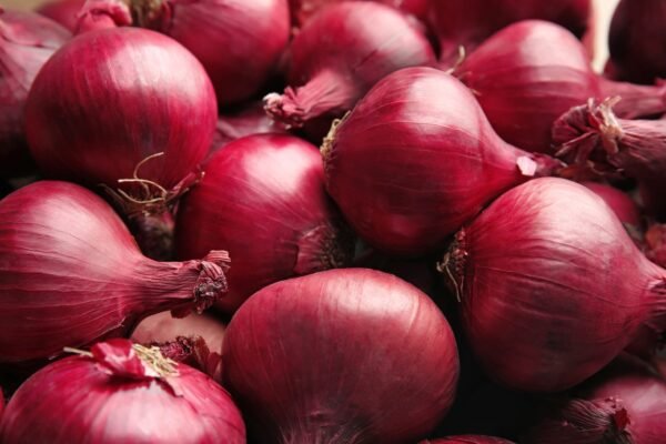 Onion Red Brunswick Seeds