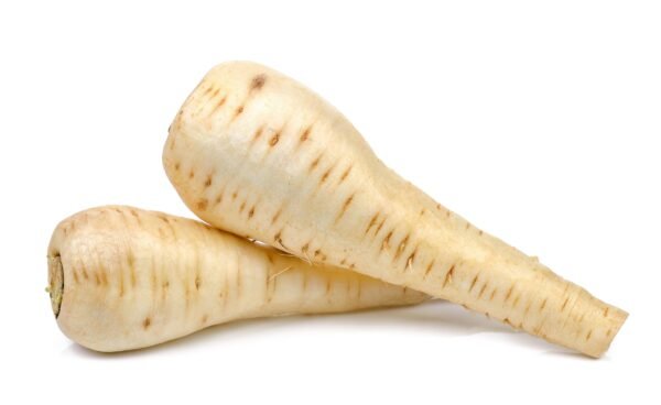 Parsnip Tender and True Seeds