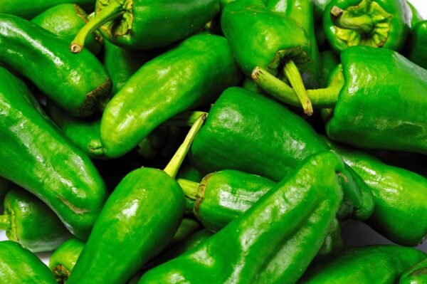 Pepper (Chilli) Padron Seeds