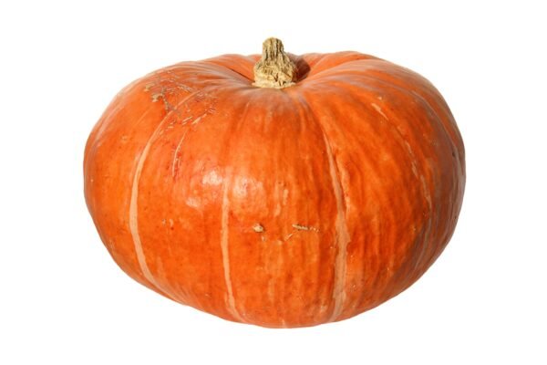 Pumpkin Hundredweight Seeds