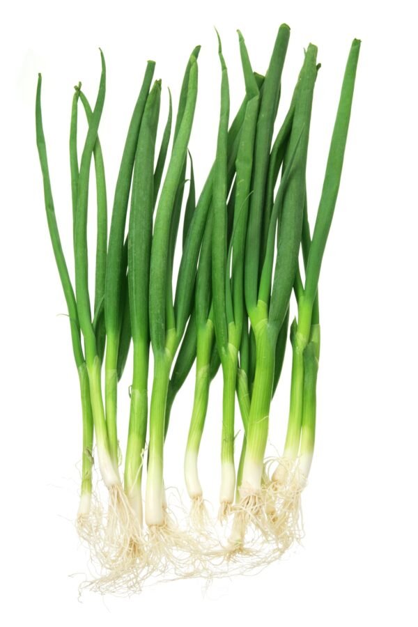 Spring Onion White Lisbon Seeds