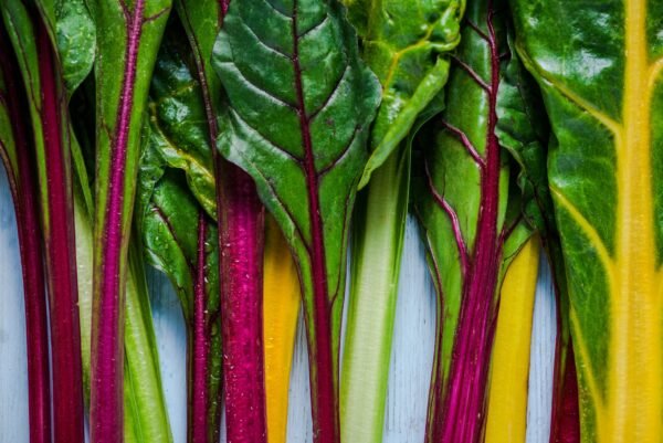 Beet Leaf Chard Rainbow Mixed Seeds