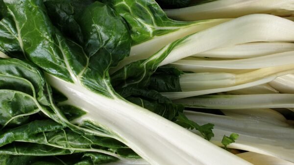 Beet Leaf Swiss Chard Fordhook Giant Seeds