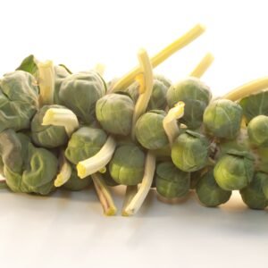 Brussels Sprout Maximus F1 Hybrid Seeds