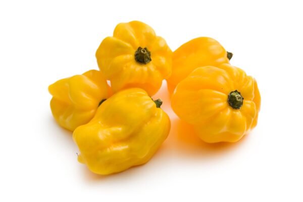 Chilli Pepper Habanero Lemon Seeds