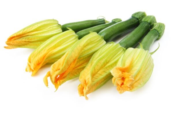 Courgette Zucchini Seeds