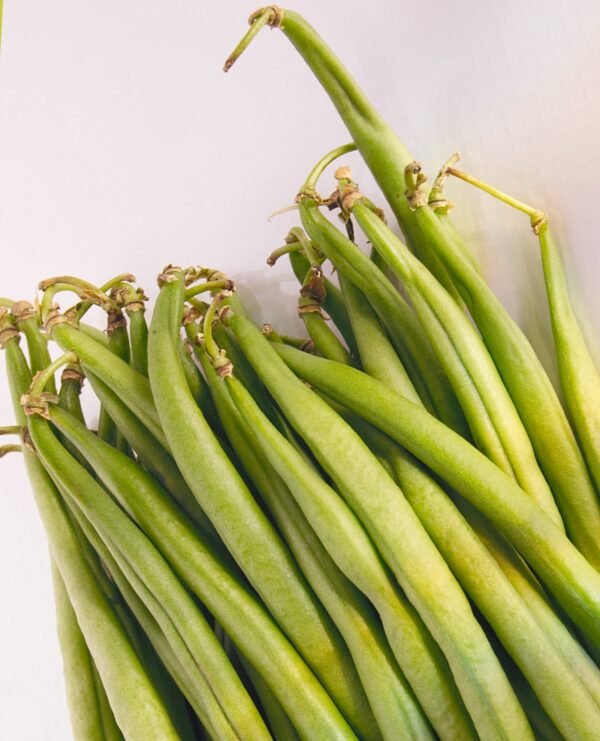 Dwarf French Bean Canadian Wonder Seeds