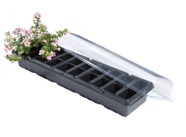 Garland - Windowsill Greenhouse (W0042)