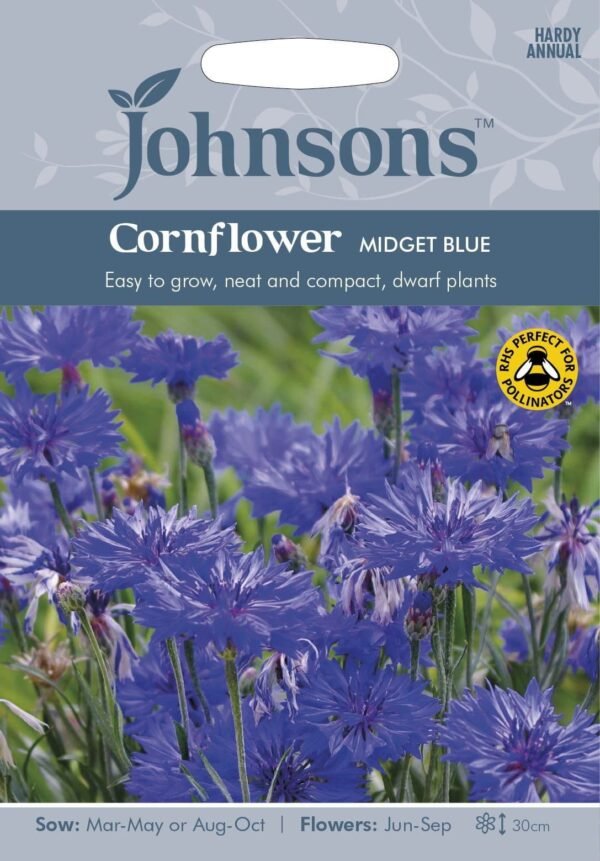 Johnsons Cornflower Midget Blue 150 Seeds