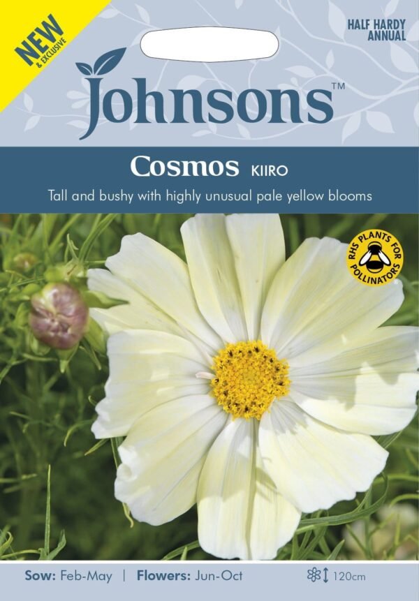 Johnsons Seeds Cosmos Kiiro 50 Seeds
