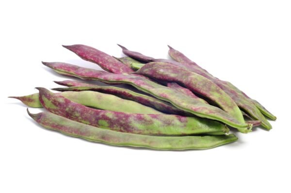 Kings Seeds Climbing French Bean - Barlotta Lingua di Fuoco Seeds