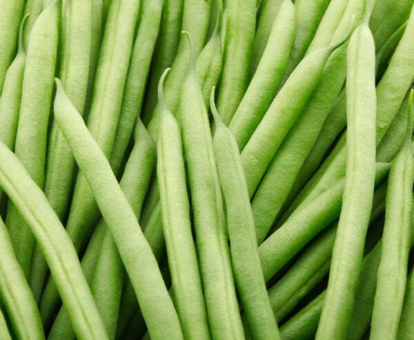 Kings Seeds Climbing French Bean Cobra 50 Seeds