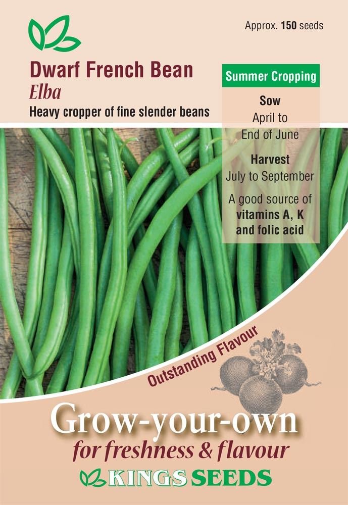 Kings Seeds Dwarf French Bean Elba Seeds – Seeds a Lot