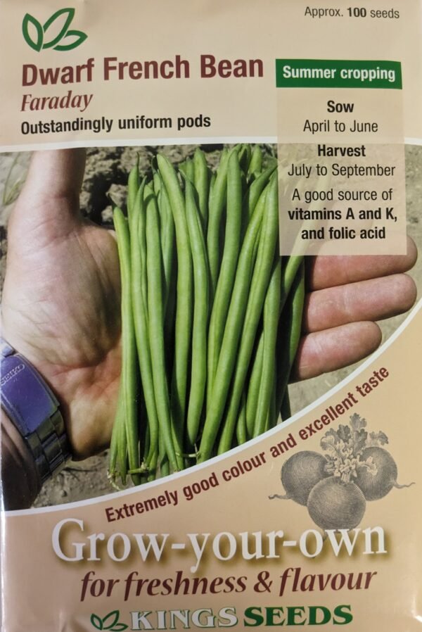 Kings Seeds Dwarf French Bean Faraday 100 Seeds