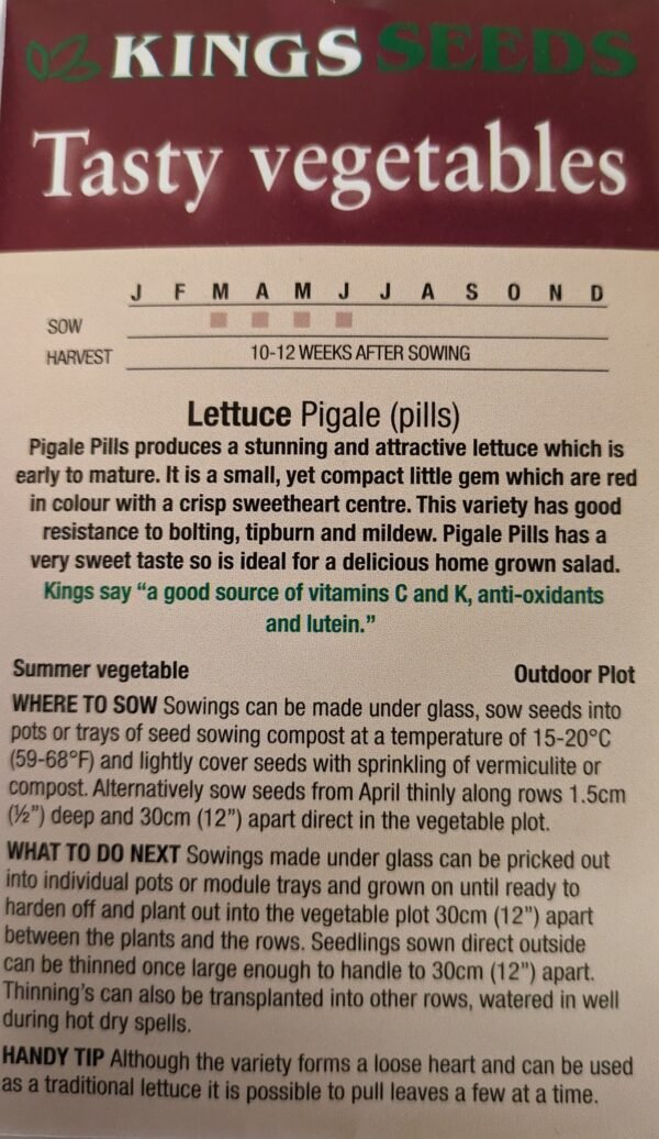 Kings Seeds Lettuce Pigale Pills 50 Seeds
