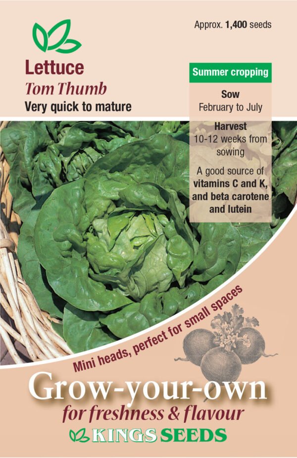 Kings Seeds Lettuce Tom Thumb 1400 Seeds