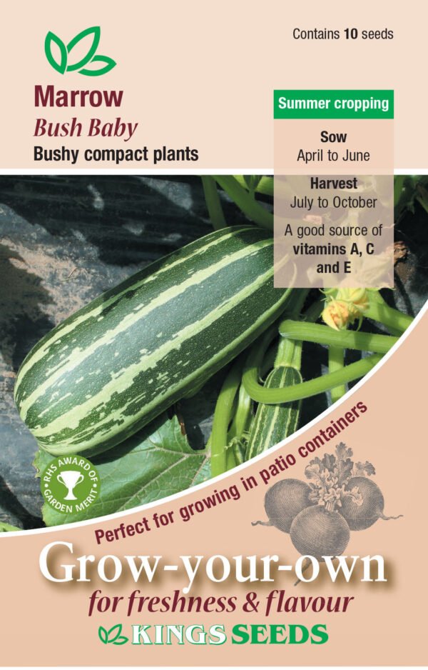 Kings Seeds Marrow Bush Baby AGM 10 Seeds