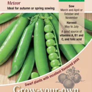 Kings Seeds Pea Meteor 350 Seeds