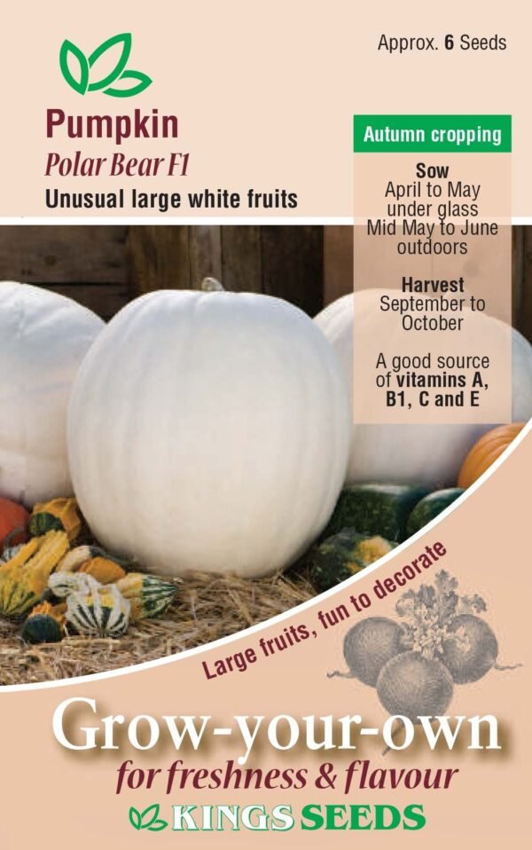 Kings Seeds Pumpkin Polar Bear F1 Seeds