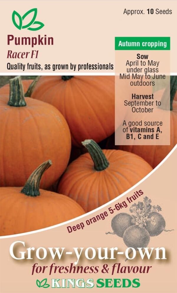 Kings Seeds Pumpkin Racer F1 Seeds