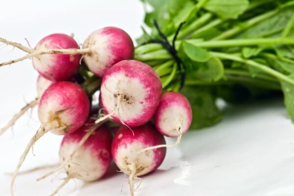 Kings Seeds Radish Sparkler 1200 Seeds
