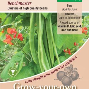 Kings Seeds Runner Bean Benchmaster 40 Seeds