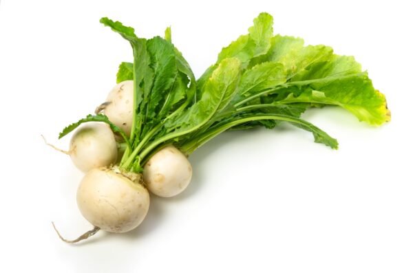 Kings Seeds Turnip Snowball 1200 Seeds