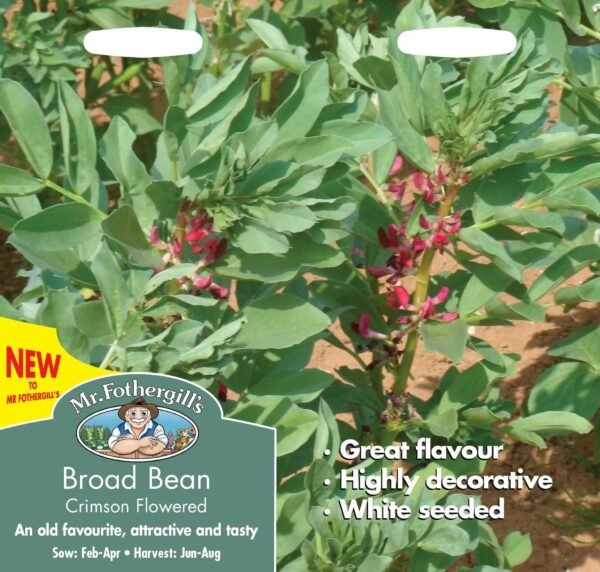 Mr Fothergills Broad Bean Crimson Flowered 50 Seeds