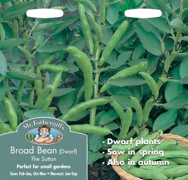 Mr Fothergills Broad Bean The Sutton Dwarf 50 Seeds