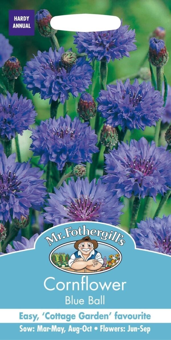 Mr Fothergills Cornflower Blue Ball 250 Seeds