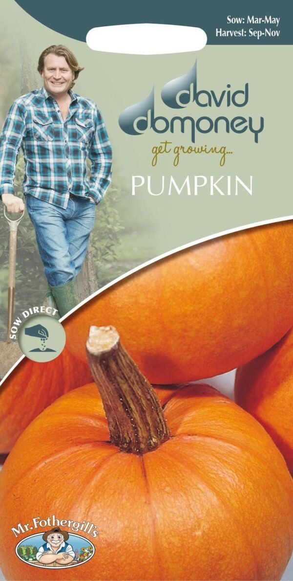 Mr Fothergills - David Domoney - Vegetable - Pumpkin - Small Sugar - 25 Seeds