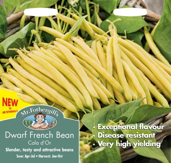 Mr Fothergills Dwarf French Bean Cala D'Or 100 Seeds