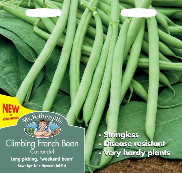 Mr Fothergills Dwarf French Bean Castandel 50 Seeds