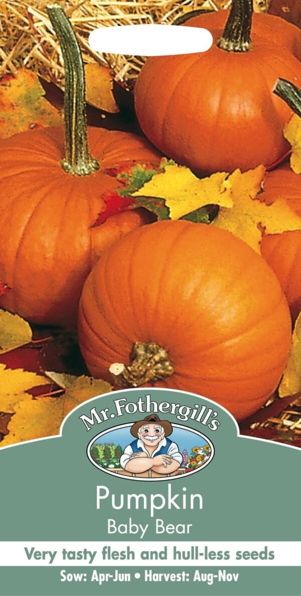 Mr Fothergills Pumpkin Baby Bear 10 Seeds