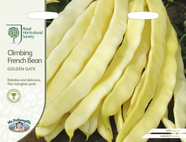 Mr Fothergills RHS Climbing French Bean Golden Gate 50 Seeds
