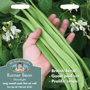 Mr Fothergills Runner Bean Moonlight 45 Seeds
