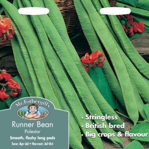 Mr Fothergills Runner Bean Polestar 50 Seeds