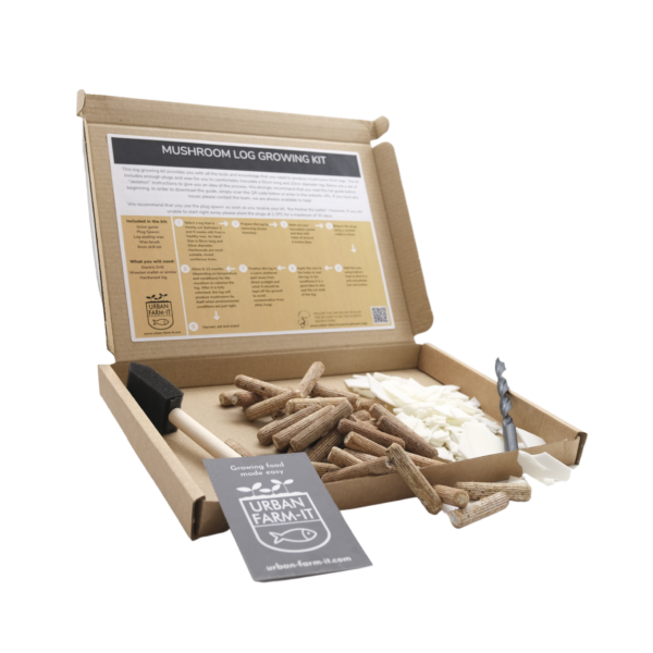 Mushroom - Blue Oyster Mushroom Log Growing Kit
