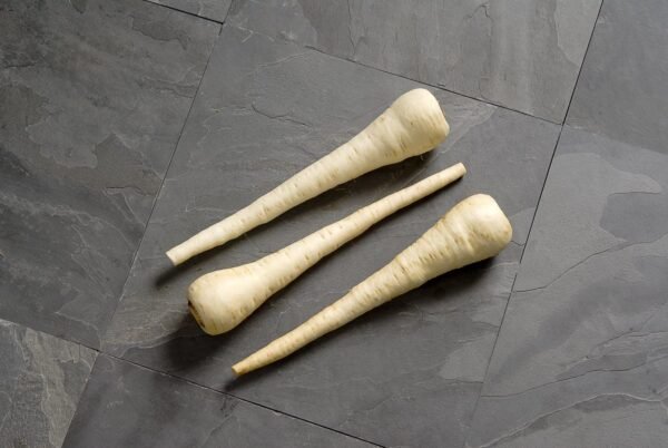 Parsnip White Spear Seeds