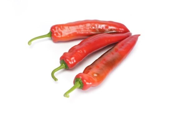 Pepper (Sweet) Palermo RZ F1 Hybrid Seeds