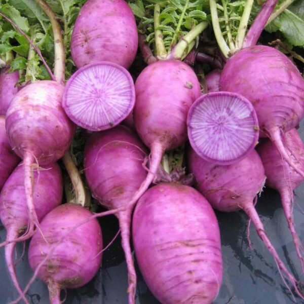 Radish Bluemoon F1 Hybrid Seeds