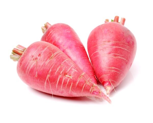 Radish China Rose Seeds