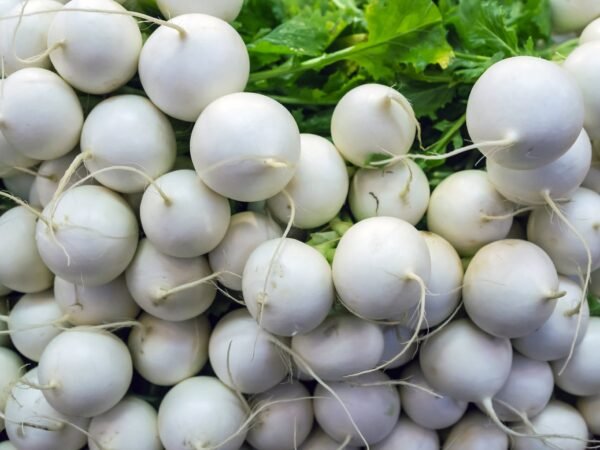Radish Hailstone Seeds