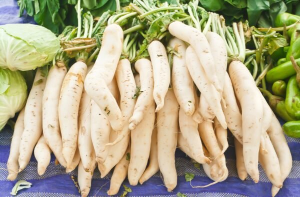 Radish Long White Icicle Seeds