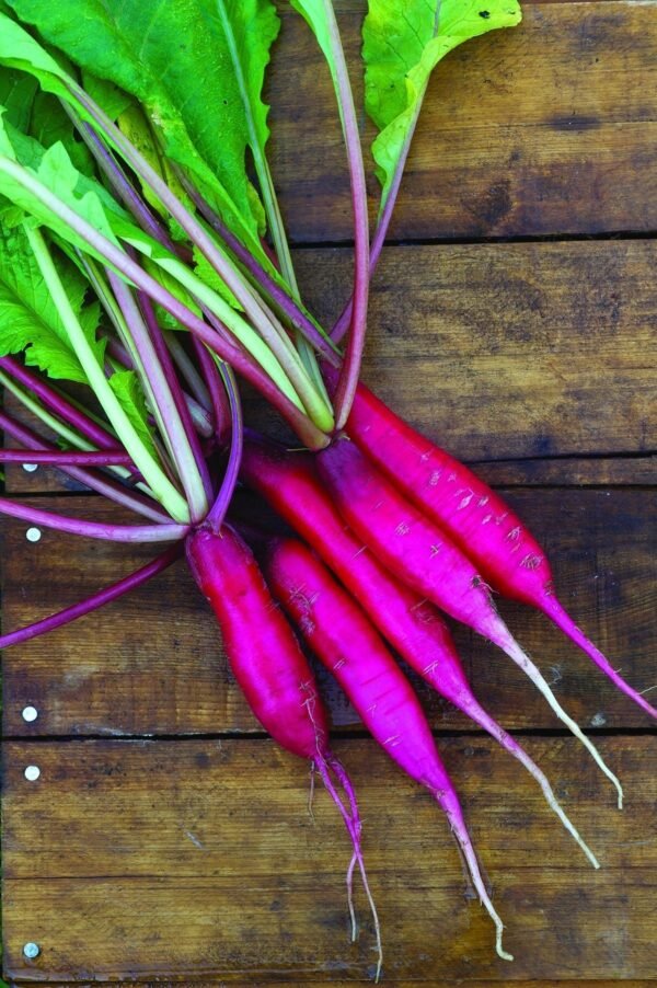 Radish Salad Rose Seeds