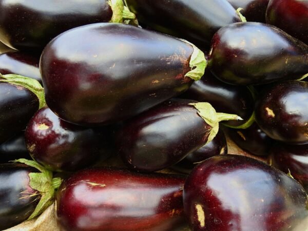 Suffolk Herbs Organic Aubergine Black Beauty 50 Seeds