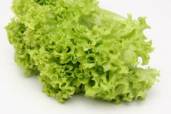 Suffolk Herbs Organic Lettuce Salad Bowl 450 Seeds
