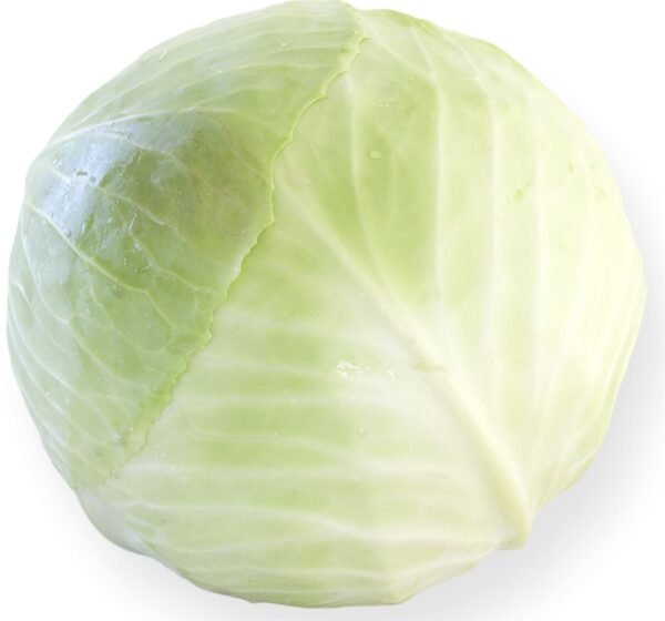 White Cabbage Kalorama RZ F1 (Non-Organic) Seeds
